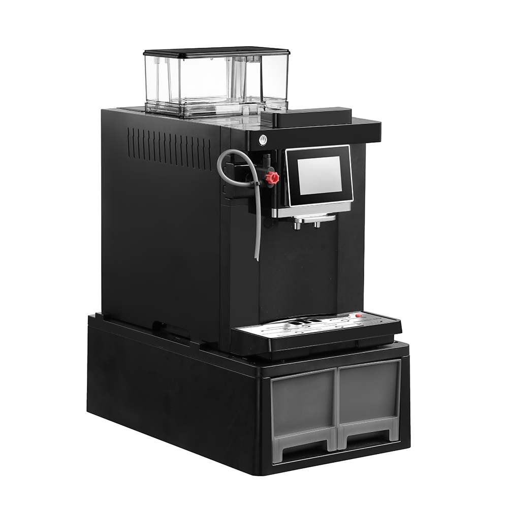 Commercial Use  4 Languages Fa - Coffee & Tea - Pastry Góc Xanh 评论和价格